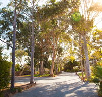 Modra's Apartments - Australia Accommodation