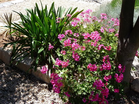 Country Bakehouse Accommodation - Australia Accommodation 18