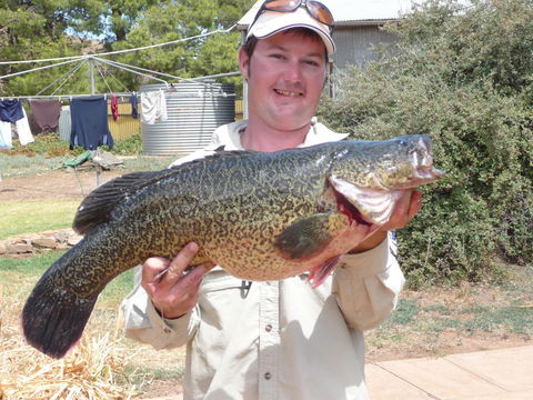 Country Bakehouse Accommodation - Australia Accommodation 20
