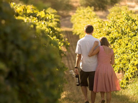 Novotel Barossa Valley Resort - Australia Accommodation 40