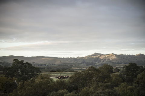Novotel Barossa Valley Resort - Australia Accommodation 23
