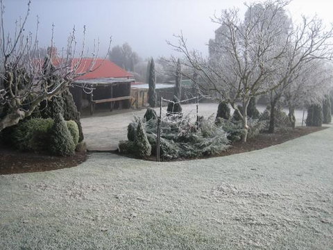 Vineyard Cottage BnB - Australia Accommodation 15