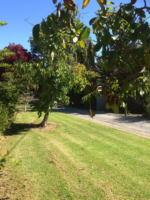 Vineyard Cottage BnB - Australia Accommodation 17