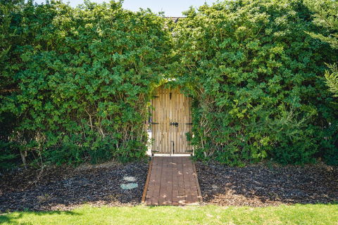 Mick O\'Sheas - Australia Accommodation 32