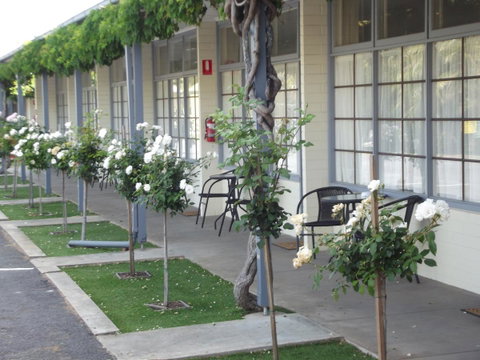 Guichen Bay Motel - Australia Accommodation 38