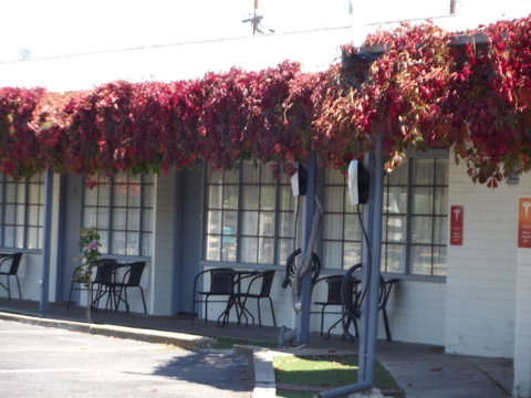 Guichen Bay Motel - Australia Accommodation 23