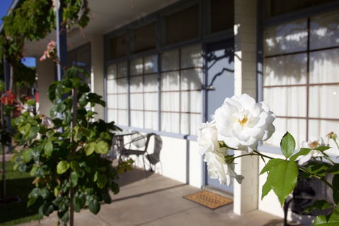Guichen Bay Motel - Australia Accommodation 33