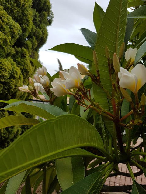 Port Pirie Accommodation And Apartments - Australia Accommodation 11