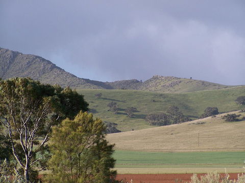 Burra Motor Inn - Australia Accommodation 32