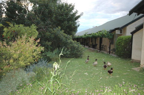 Burra Motor Inn - Australia Accommodation 24