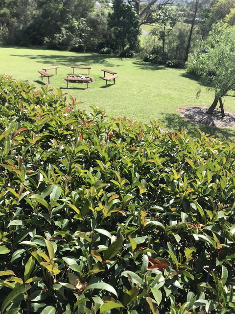 Avon View Stays Accommodation. - Australia Accommodation 10