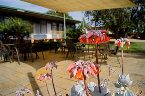 Kangaroo Island Seaview Motel - Australia Accommodation 3