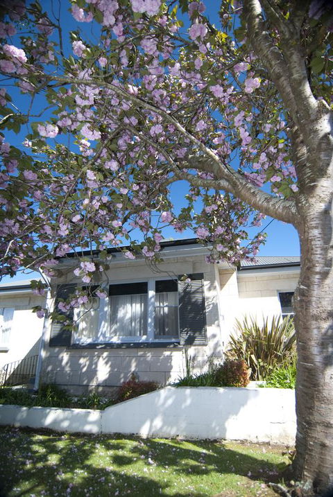 The Commodore - Australia Accommodation 14