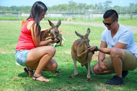 One Mile Retreat - Australia Accommodation 25