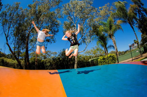 BIG4 Renmark Riverfront Holiday Park - Australia Accommodation 37