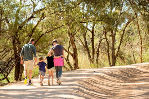 BIG4 Renmark Riverfront Holiday Park - Australia Accommodation 13