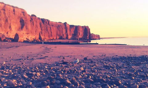 Ardrossan Caravan Park - Australia Accommodation 31