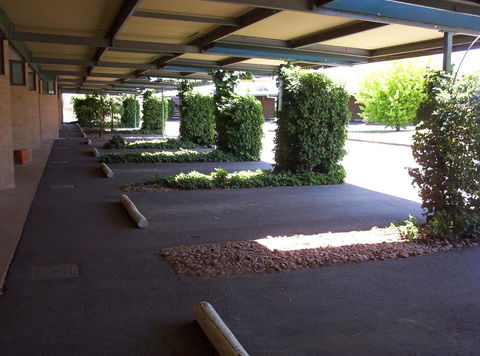The Wine Vine Hotel - Australia Accommodation 17