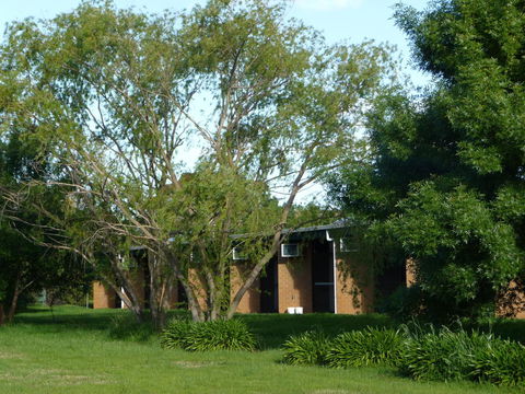 The Wine Vine Hotel - Australia Accommodation 18