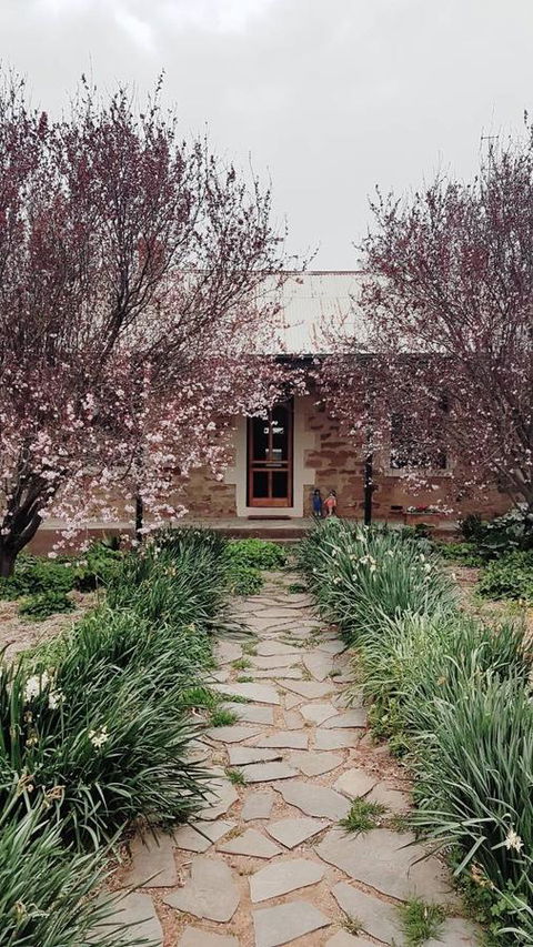 D2 At Watervale - Australia Accommodation 0