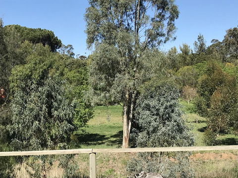 Adagio In Auburn - Australia Accommodation 25