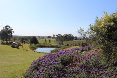 Beltana Villas - Australia Accommodation 7
