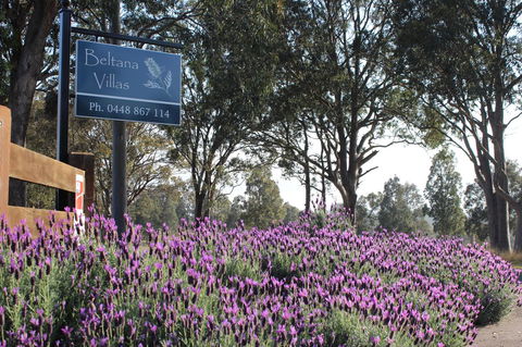 Beltana Villas - Australia Accommodation 10