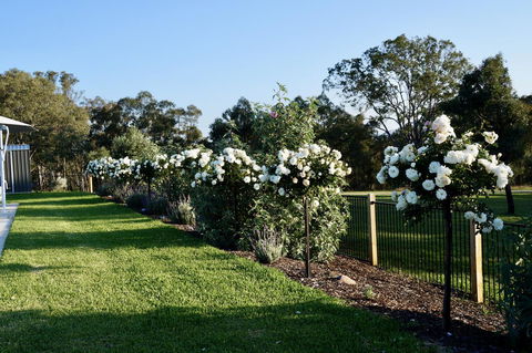 Beltana Villas - Australia Accommodation 2