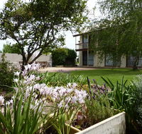 Coonawarra Motor Lodge - Australia Accommodation