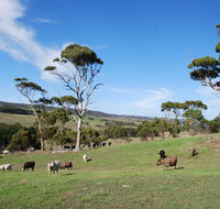 Lisieux Farm Bed and Breakfast - Australia Accommodation