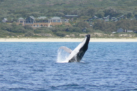 Pullman Bunker Bay Resort Margaret River - Australia Accommodation 25