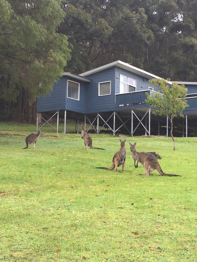  Australia Accommodation