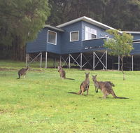 Blue House Denmark - Australia Accommodation