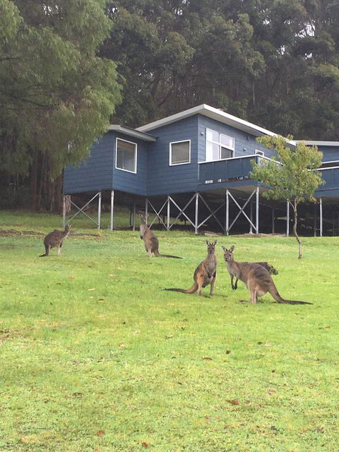 Blue House Denmark - Australia Accommodation 0