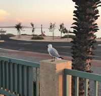 Shark Bay Seafront Apartments - Australia Accommodation