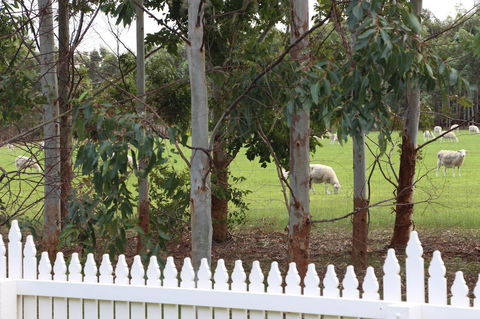 Sapphire Chalets, Augusta - Australia Accommodation 9