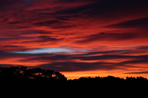 Sapphire Chalets, Augusta - Australia Accommodation 15