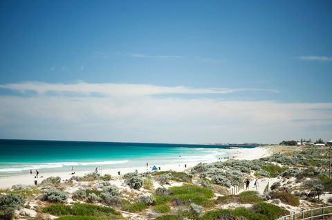 Seashells Scarborough - Australia Accommodation 18