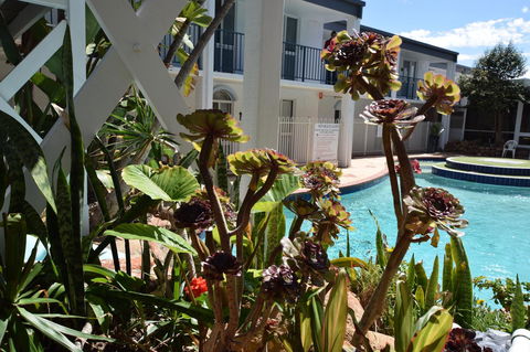 West Beach Lagoon 220 Stylish And Cozy - Australia Accommodation 18