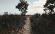 FortyThree - Oceanside Retreat Busselton - thumb 43