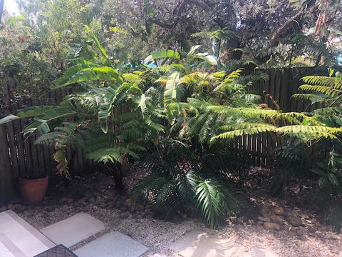 East On Byron - Australia Accommodation 40