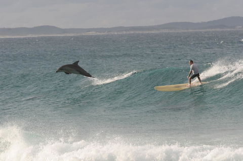 Crescent Head Spa Villa - Australia Accommodation 22