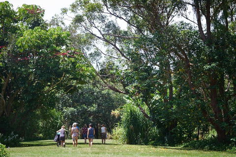 Ingenia Holidays Byron Bay - Australia Accommodation 11