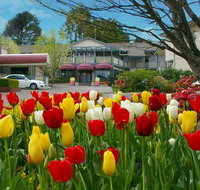 Nesuto Leura Gardens formerly Waldorf Leura Gardens Resort - Australia Accommodation