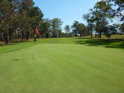 Kempsey Rose Motor Inn - Australia Accommodation 3