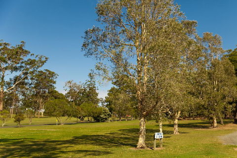 Kempsey Rose Motor Inn - Australia Accommodation 32
