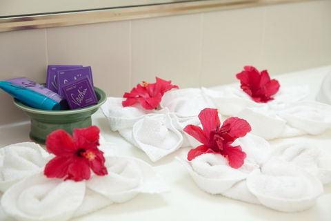 Kempsey Rose Motor Inn - Australia Accommodation 14