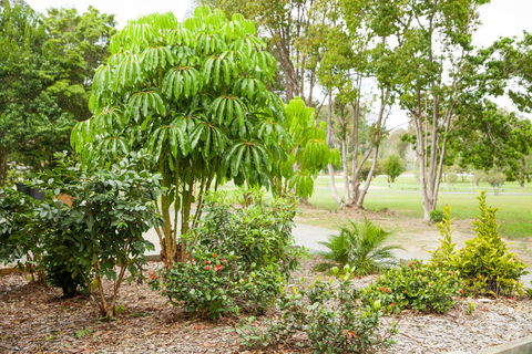 Kempsey Rose Motor Inn - Australia Accommodation 42