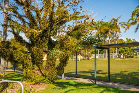 Kempsey Rose Motor Inn - Australia Accommodation 41