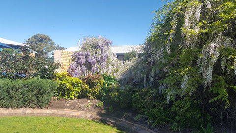 Almond Inn - Australia Accommodation 28